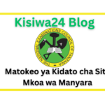 NECTA Matokeo ya Kidato cha Sita 20252026 Mkoa wa Manyara