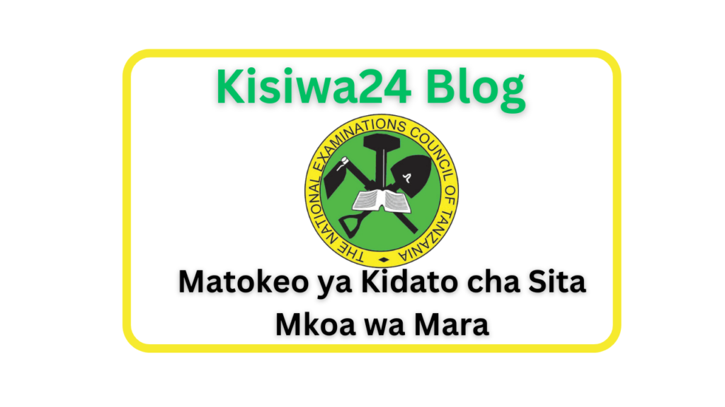 NECTA Matokeo ya Kidato cha Sita 20252026 Mkoa wa Mara