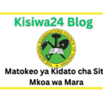 NECTA Matokeo ya Kidato cha Sita 20252026 Mkoa wa Mara