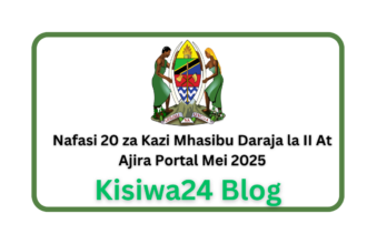 Nafasi 20 za Kazi Mhasibu Daraja la II At Ajira Portal Mei 2025