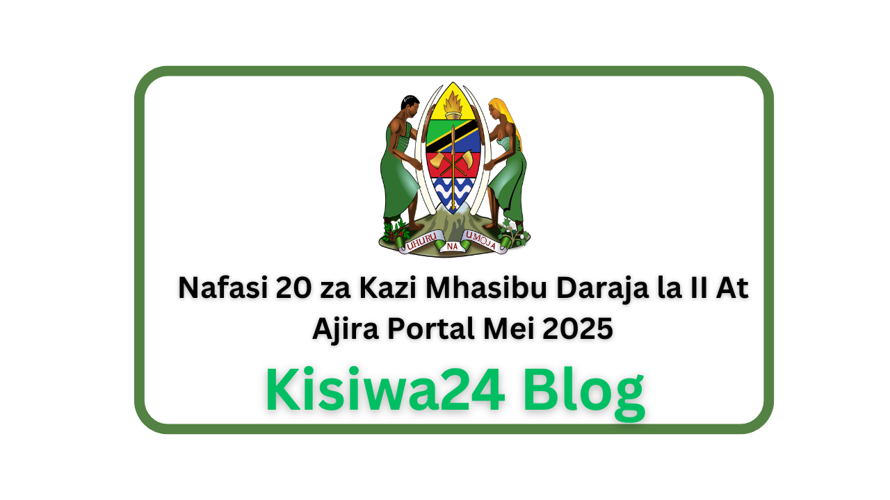 Nafasi 20 za Kazi Mhasibu Daraja la II At Ajira Portal Mei 2025