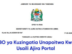 MAMBO ya Kuzingatia Unapoitwa Kwenye Usaili Ajira Portal MAMBO ya Kuzingatia Unapoitwa Kwenye Usaili Ajira Portal