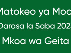 MATOKEO ya Mock Darasa la Saba Mkoa wa Geita 2025