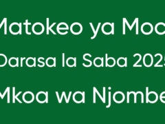 MATOKEO ya Mock Darasa la Saba Mkoa wa Njombe 2025
