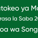 MATOKEO ya Mock Darasa la Saba Mkoa wa Songwe 2025