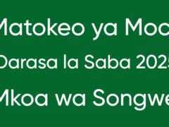MATOKEO ya Mock Darasa la Saba Mkoa wa Songwe 2025