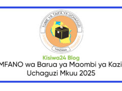 MFANO wa Barua ya Maombi ya Kazi Uchaguzi Mkuu 2025 MFANO wa Barua ya Maombi ya Kazi Uchaguzi Mkuu 2025