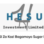 NAFASI 25 za Kazi Hesu Investment Ltd