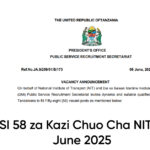 NAFASI 58 za Kazi Chuo Cha NIT na DMI June 2025