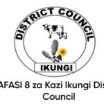 NAFASI 8 za Kazi Ikungi District Council
