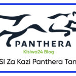 NAFASI Za Kazi Panthera Tanzania