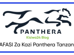 NAFASI Za Kazi Panthera Tanzania
