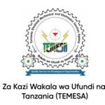 NAFASI 32 za Kazi Wakala wa Ufundi na Umeme Tanzania (TEMESA)