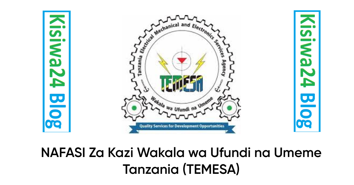NAFASI 32 za Kazi Wakala wa Ufundi na Umeme Tanzania (TEMESA)