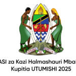 NAFASI za Kazi Halmashauri Mbalimbali Kupitia UTUMISHI 2025