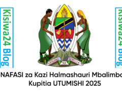 NAFASI za Kazi Halmashauri Mbalimbali Kupitia UTUMISHI 2025 NAFASI za Kazi Halmashauri Mbalimbali Kupitia UTUMISHI 2025