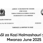 NAFASI za Kazi Halmashauri ya Jiji la Mwanza June 2025