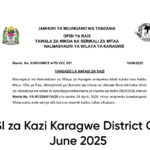 NAFASI 12 za Kazi Karagwe District Council June 2025