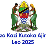 NAFASI za Kazi Kutoka Ajira Portal Leo 2025