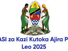 NAFASI za Kazi Kutoka Ajira Portal Leo 2025 NAFASI za Kazi Kutoka Ajira Portal Leo 2025