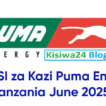 NAFASI za Kazi Puma Energy Tanzania June 2025