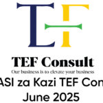 NAFASI za Kazi TEF Consult June 2025
