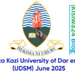 NAFASI za Kazi University of Dar es Salaam (UDSM) June 2025