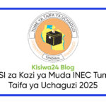 NAFASI za Kazi ya Muda INEC Tume ya Taifa ya Uchaguzi 2025