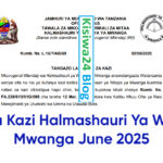 Nafasi Za Kazi Halmashauri Ya Wilaya Ya Mwanga June 2025