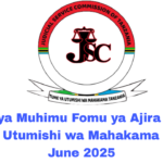 MAMBO ya Muhimu Fomu ya Ajira Tume ya Utumishi wa Mahakama June 2025