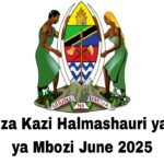 NAFASI za Kazi Halmashauri ya Wilaya ya Mbozi June 2025
