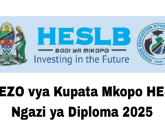 VIGEZO vya Kupata Mkopo HESLB Ngazi ya Diploma 2025