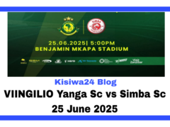VIINGILIO Yanga Sc vs Simba Sc 25 June 2025 VIINGILIO Yanga Sc vs Simba Sc 25 June 2025