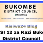 NAFASI 12 za Kazi Bukombe District Council
