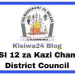 NAFASI 14 za Kazi Chamwino District Council