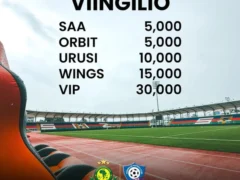 VIINGILIO Yanga vs Dodoma Jiji 22 June 2025 VIINGILIO Yanga vs Dodoma Jiji 22 June 2025
