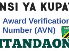 Jinsi ya Kupata AVN Number NACTE