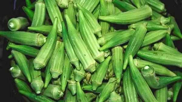 Kilimo Cha Bamia