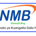 Makato ya Kuangalia Salio NMB