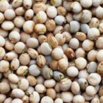 Mwongozo wa Kilimo Cha Mbaazi Tanzania