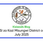 NAFASI 12 za Kazi Misungwi District council July 2025