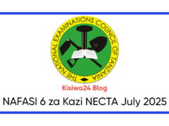 NAFASI 6 za Kazi NECTA July 2025