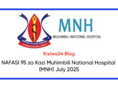 NAFASI 95 za Kazi Muhimbili National Hospital (MNH) July 2025