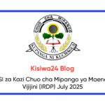 NAFASI za Kazi Chuo cha Mipango ya Maendeleo Vijijini (IRDP) July 2025