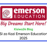 NAFASI za Kazi Emerson Education July 2025
