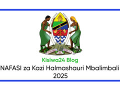 NAFASI za Kazi Halmashauri Mbalimbali July 2025 NAFASI za Kazi Halmashauri Mbalimbali July 2025