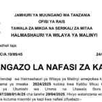NAFASI za Kazi Halmashauri ya Wilaya ya Malinyi July 2025