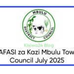 NAFASI 12 za Kazi Mbulu Town Council July 2025