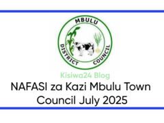 NAFASI 12 za Kazi Mbulu Town Council July 2025
