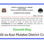 NAFASI 17 za Kazi Muleba District Council
